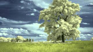 Vildhjarta - All These Feelings