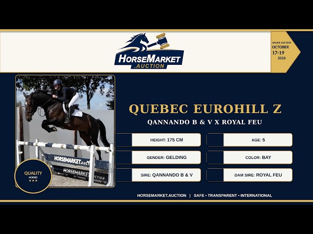 Quebec Eurohill Z