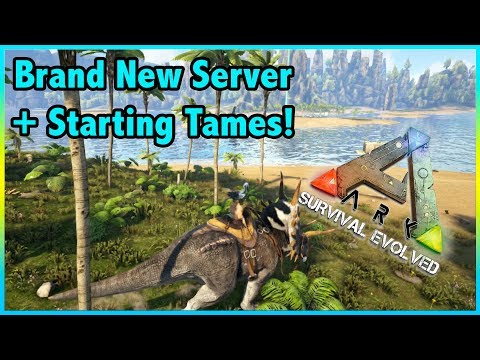 Brand New PRIMITIVE + SERIES, AND YOU CAN JOIN! || Ark Primitive Plus Ep 1!