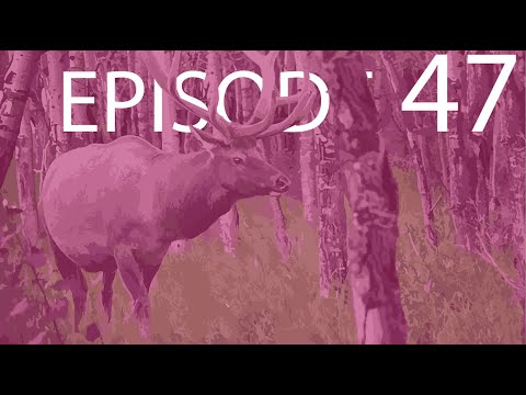 Episode 47 - Temperate Forest
