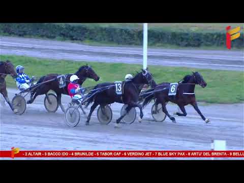 V Corsa del 4 Marzo 2023 - 5 Anni ed oltre Cat. E - Gentlemen - Metri 1600 II Tris nazionale