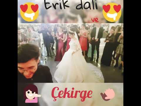 Erik dalı ve Çekirge Grup Karma Live