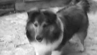 Dedication to Kellie &quot;Slow Down Jackson&quot;