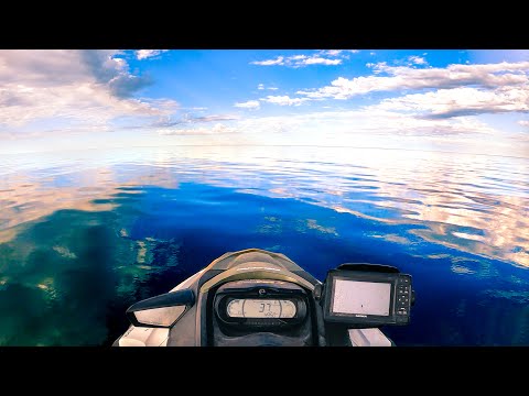 CAMPING WITH NO FOOD Catching My Dinner In AMAZING Conditions Living From The Ocean - Ep 199