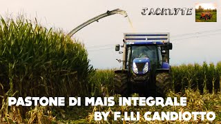 preview picture of video 'Pastone di Mais integrale 2014 By F.lli Candiotto'