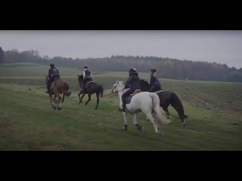 Stall EIchhof — Videoproduktion
