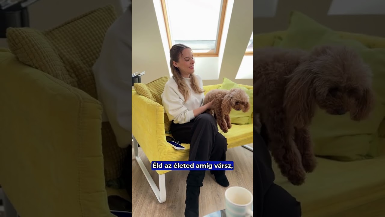 A GLS App új, dinamikus csomagkövetés funkciójával mindig tudhatod mikor jövünk. 💙