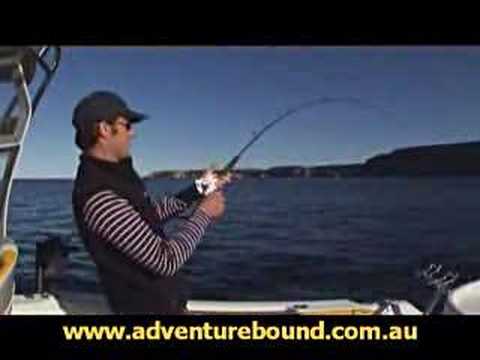 Adventure Bound Jervis Bay Kingfish part 3