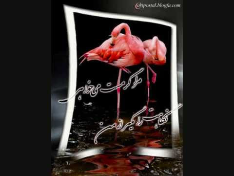 Masoud Saeedi Faryad