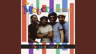 Music video thumbnail preview for A Message from The Meters (Single Version) by The Meters