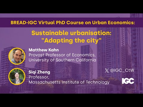 BREAD-IGC Virtual PhD course on urban economics: Lecture 9