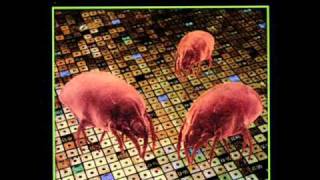 Amps for Christ - Wishful Thinking