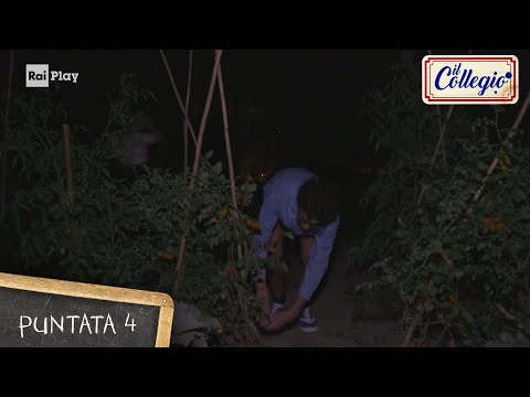 Furto notturno - Quarta puntata - Il Collegio 6