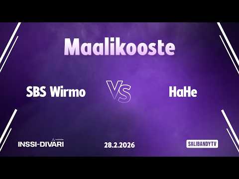 Maalikooste: SBS Wirmo - HaHe (Inssi-Divari N)