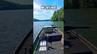 went bass fishing and caught a cat! #bass #fishing #bassfishing #jonboattobassboat #wacky #catfish