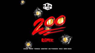 TM303  - 200 REMIX (AUDIO)