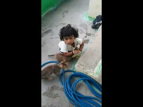 cat lover.. #my cuty##