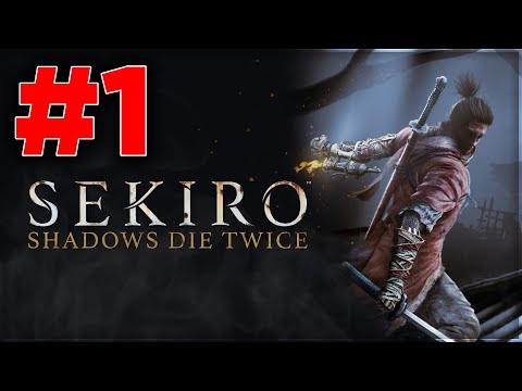 Y469 [SEKIRO 1] INIZIAMO !SEKIRO (First "Blind" Run) 🚀 !prime !sub !posta !social (03-06-2020)