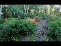 Kilimanjaro Safari At Disney S Animal Kingdom