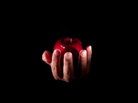 Anhken pres. Fyrsta & Norin & Rad vs. Hybrid & MS54 - If Not Original Sin (Myon & Shane 54 Mashup)