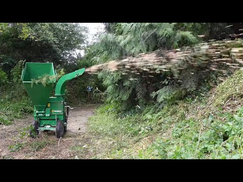 Hansa Wood Chippers - Image 2