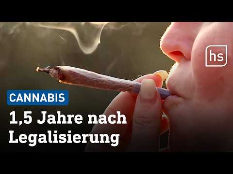 Erste Ernte von hessischem Cannabis Social Club nach Legalisierung | hessenschau