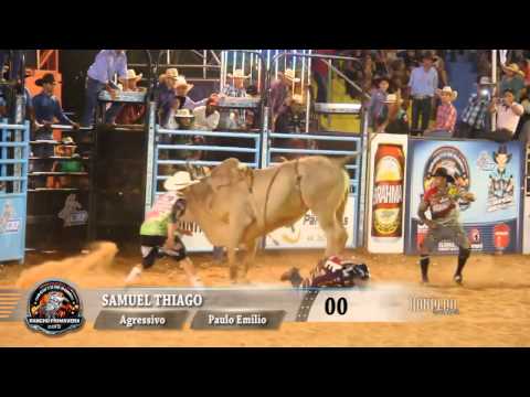 Rodeio de Umuarama 2015   FINAL