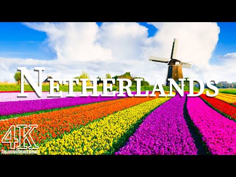 네덜란드의 아름다운 정경들과 음악