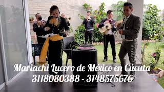 Video de Mariachi Lucero de México