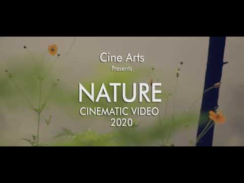 Jayesh Edke Nature Cine...