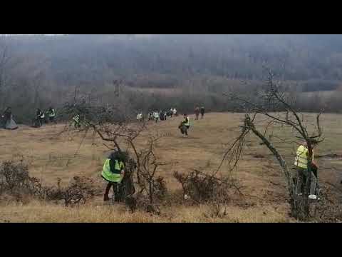 Ecologizare la Podari cu sprijinul voluntarilor din ţară şi din străinătate