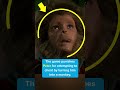 Did You Catch This In JUMANJI