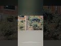 UW tacoma tour vlog
