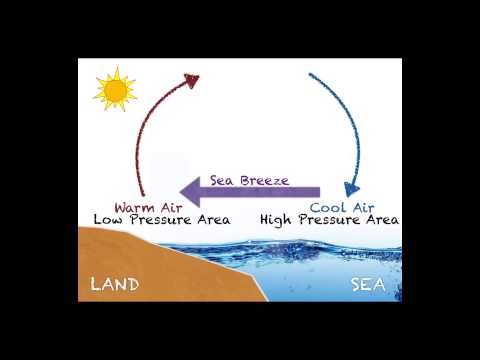 Understanding Sea Breeze and Land Breeze Video Lecture | Science Class 7