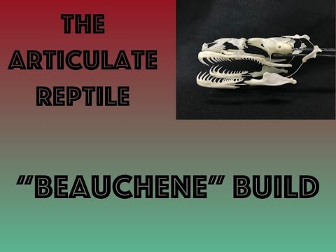 Constructing a Beauchene Style Snake Skull.