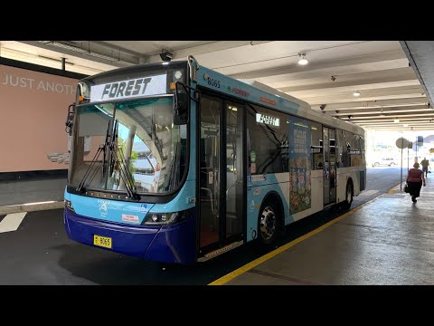 Forest Coach Lines m/o 8065 - Volvo B8RLE (ZF EcoLife)