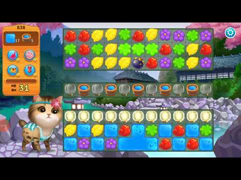 Meow match hard level 838