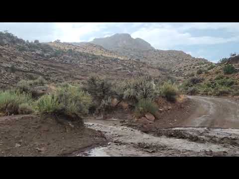 After a really wild fall rainstorm!