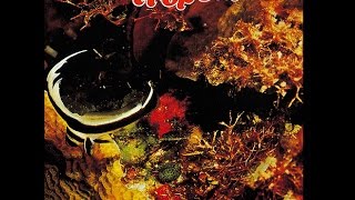 John Tropea - Tamborine (1975)