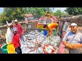 Amazing Biggest Boat Fish Market In Riverside Fisherman Life After Going To Sea
