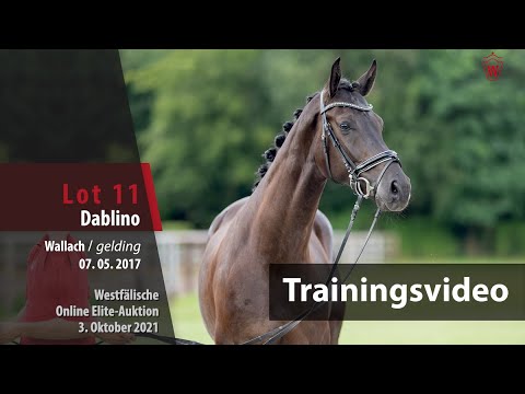 62. Elite-Auktion Training Lot 11 Dablino v. Don Nobless/Fidermark