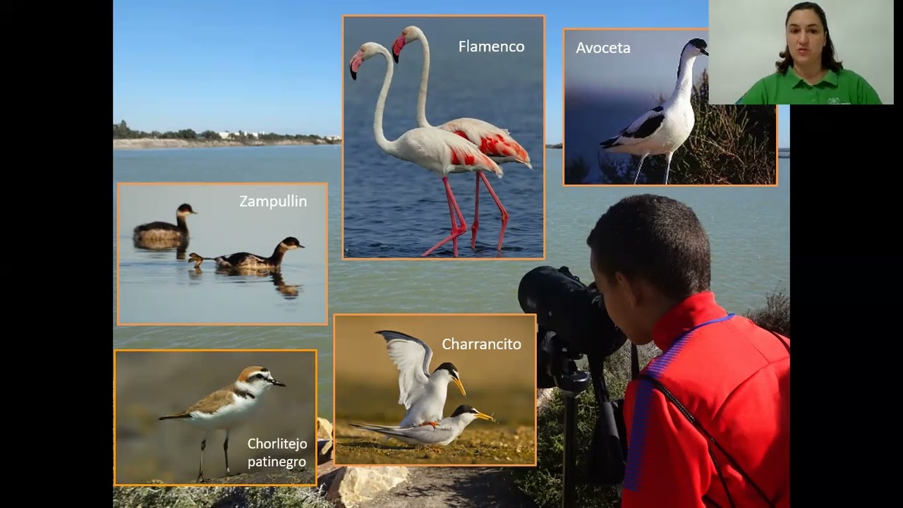 San Pedro del Pinatar with Maria Ciller