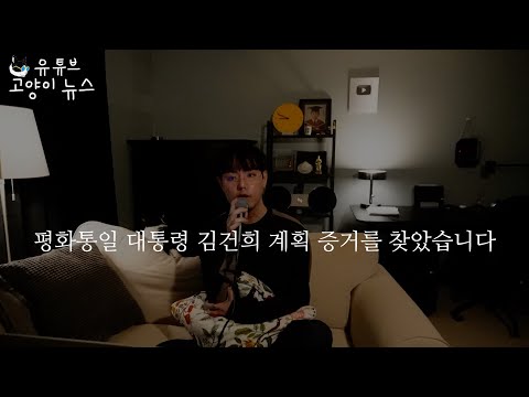 눈여겨 볼 만한 고양이 뉴스
