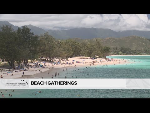 Social Scene: Beach Gatherings