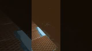 Download lagu hilang dalam terang mp3 Download lagu hilang dalam terang mp3