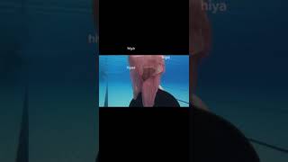 Download lagu mermaid salto pake rok mp3 Download lagu mermaid salto pake rok mp3