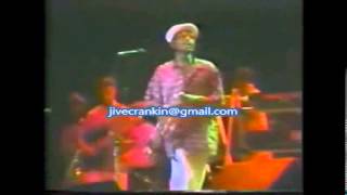 Little Benny and the Masters w/ P Funk Horns 1988