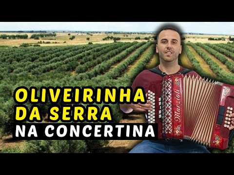 Oliveira da serra - Música Popular Portuguesa