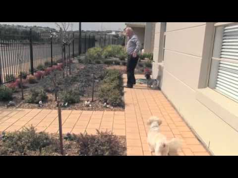 Pets in Retirement Villages