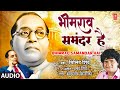 Bhimrao Samandar Hai Audio भीमराव समंदर है Milind Shinde Bhimgeet Sher Ban